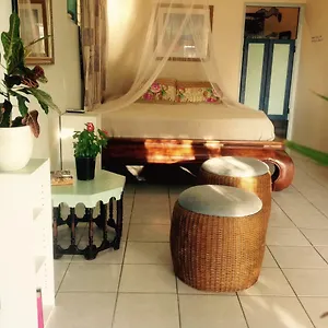 Magical Garden Homestay Savaneta